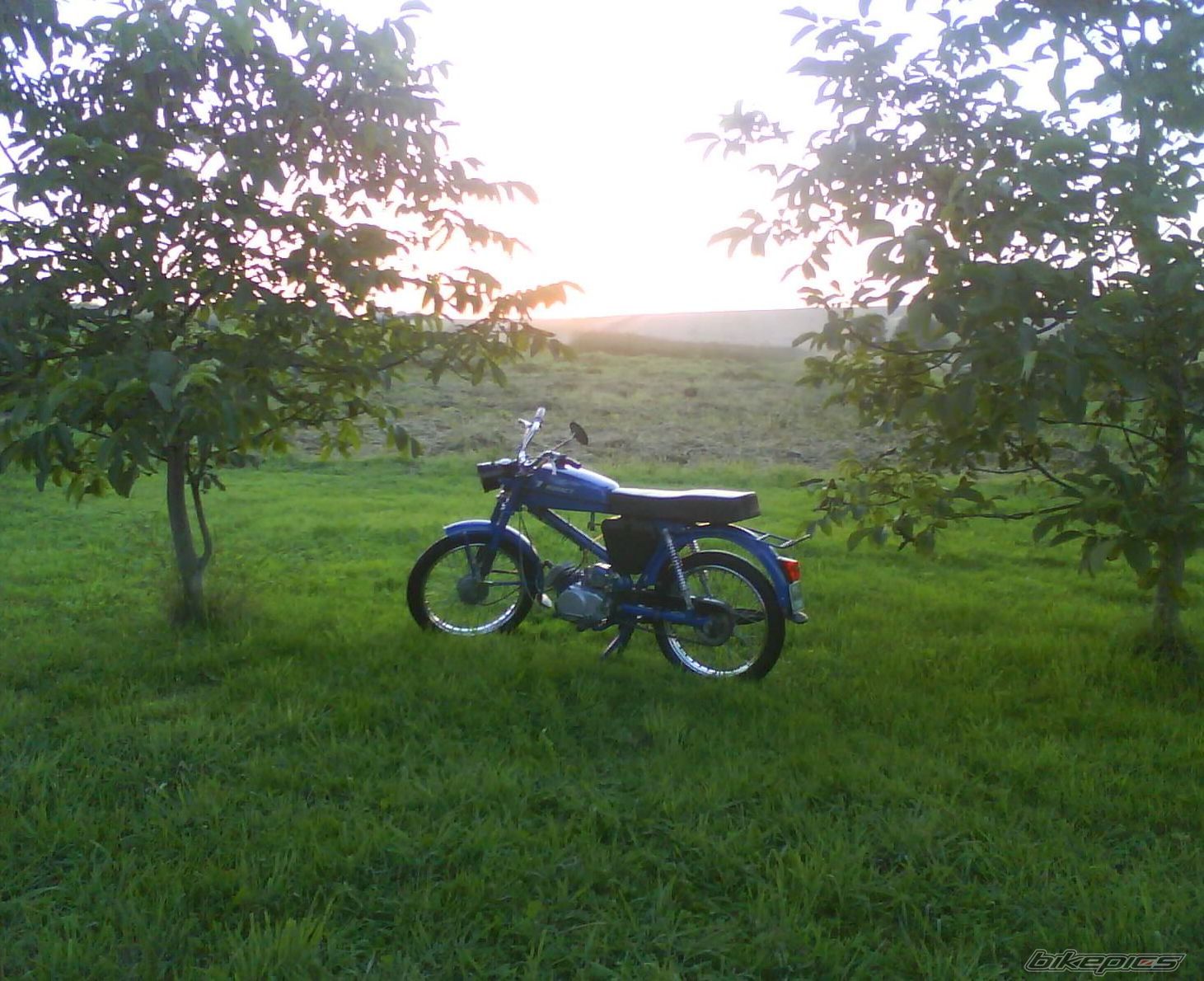Photo 2150963