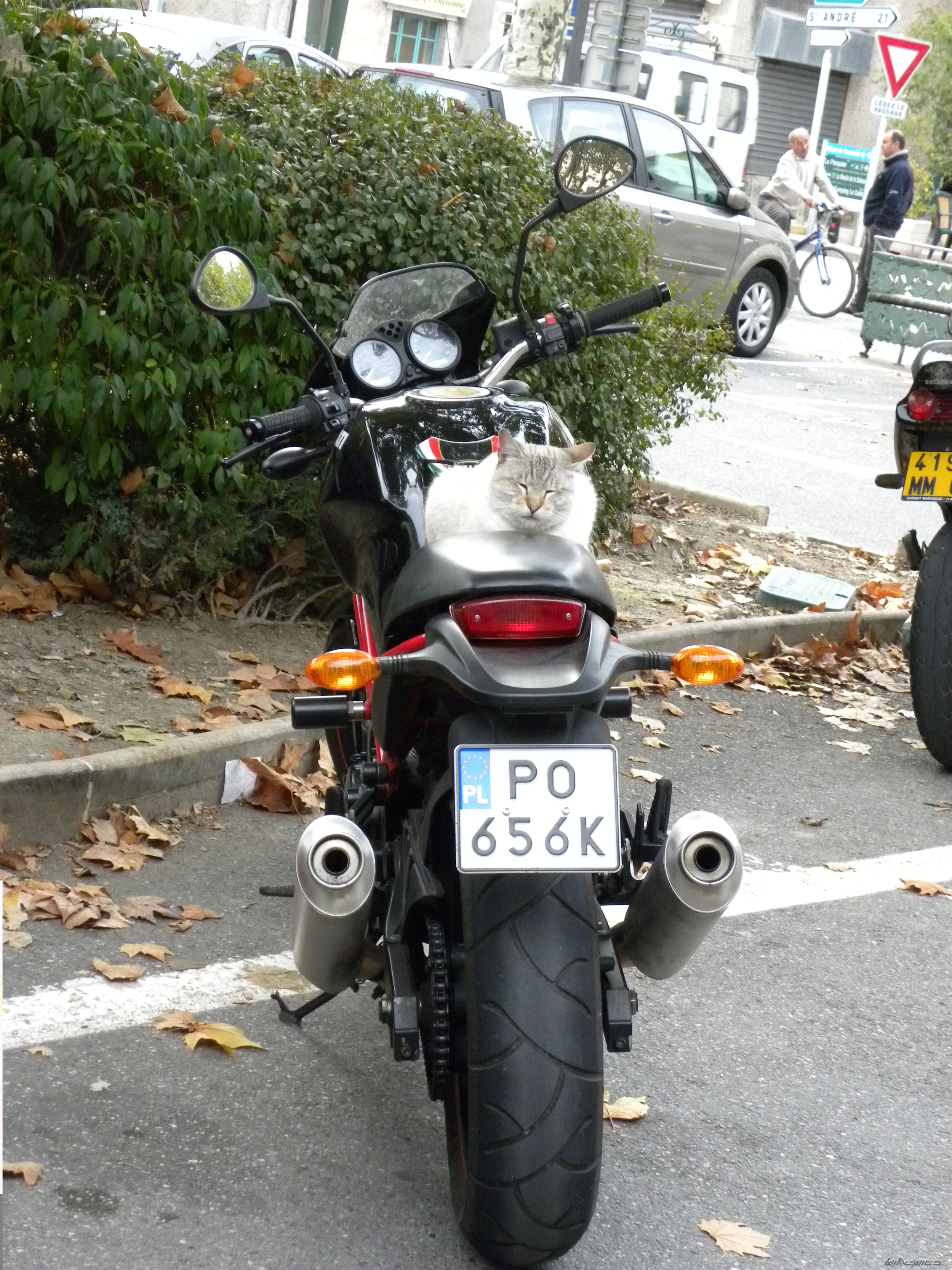 Photo 2151403