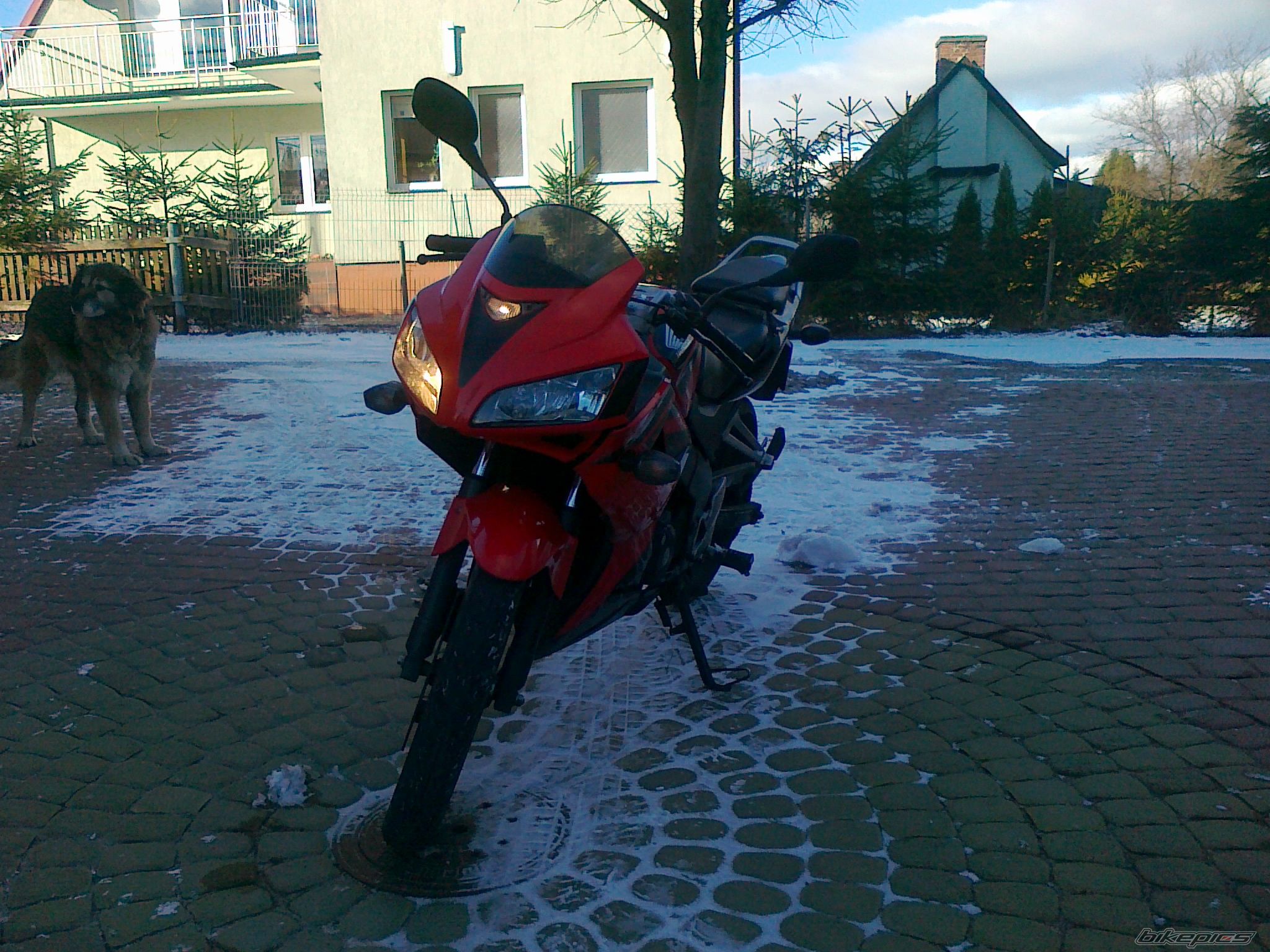 Photo 2151455