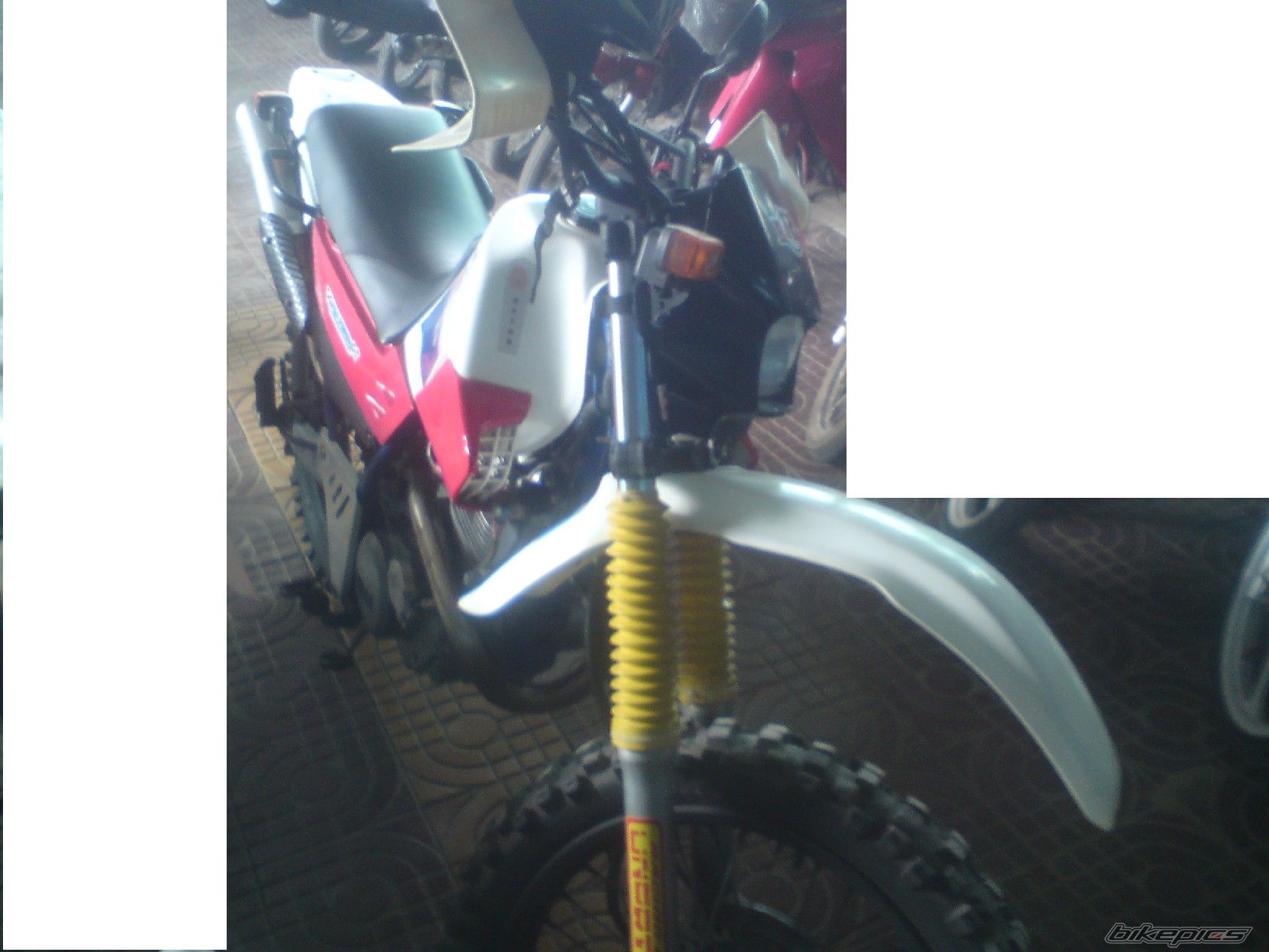 Photo 2151853