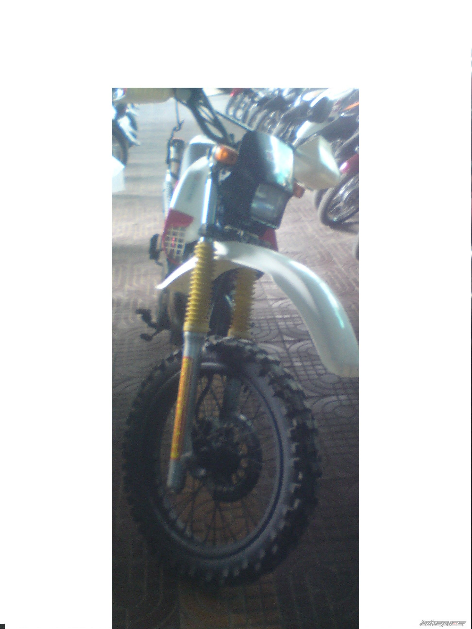 Photo 2151854