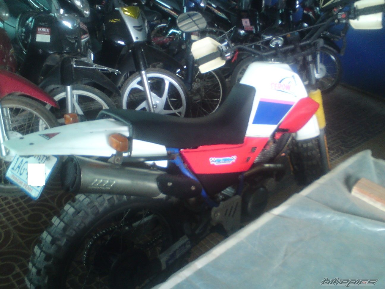 Photo 2151858