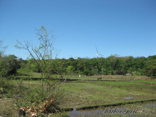 Photo 2151901