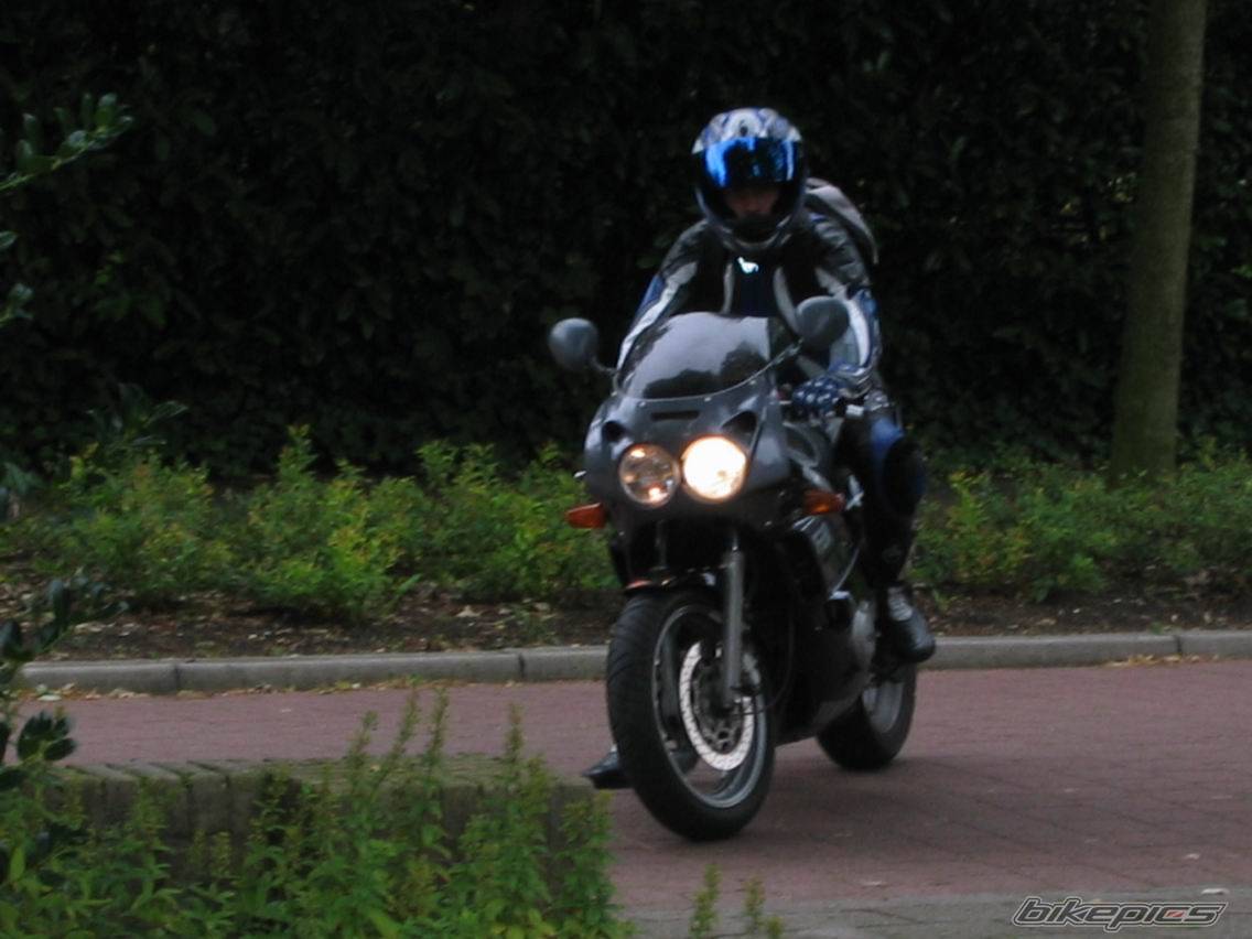 Photo 215232