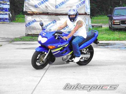 Photo 215247