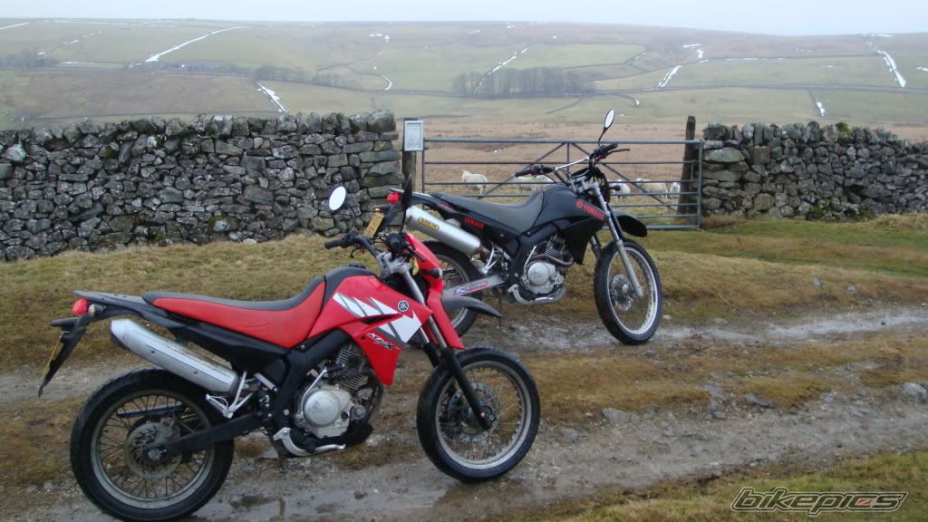 Bike Photo 2153402
