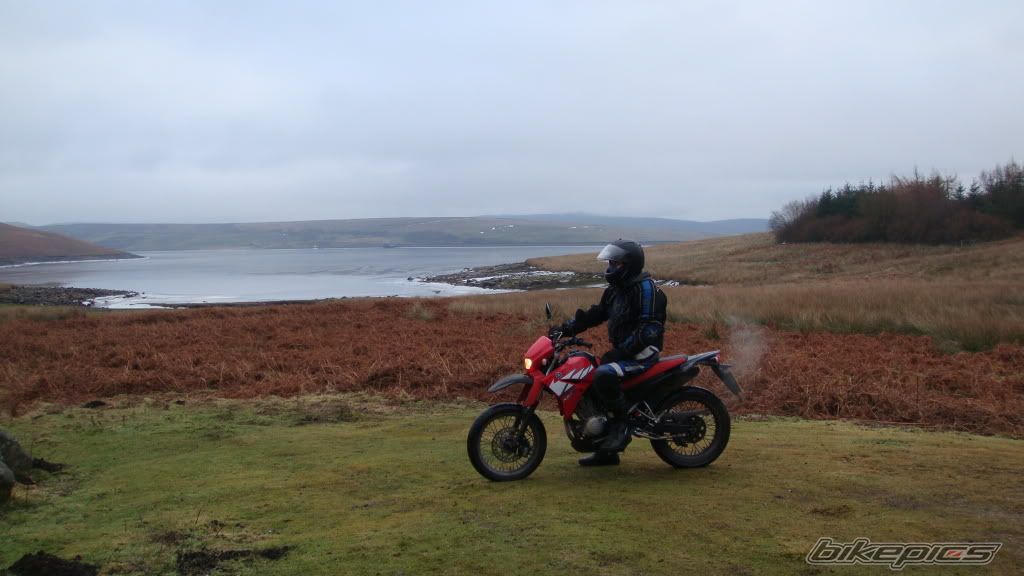 Bike Photo 2153403
