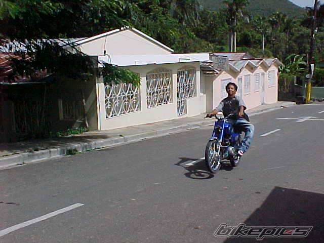 Photo 215382