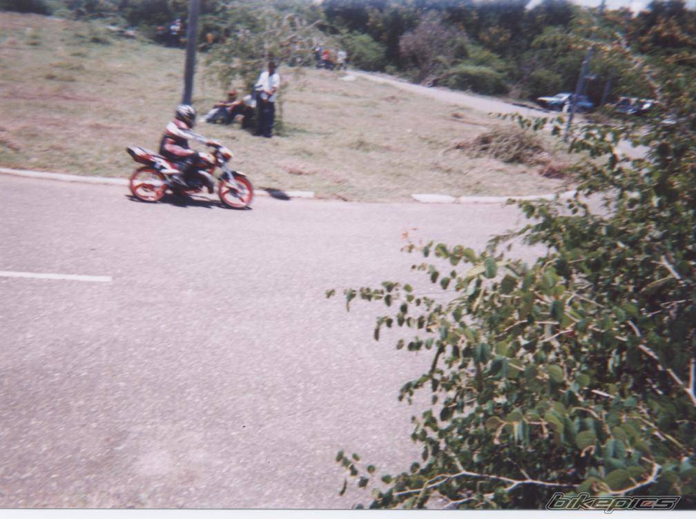 Photo 215393