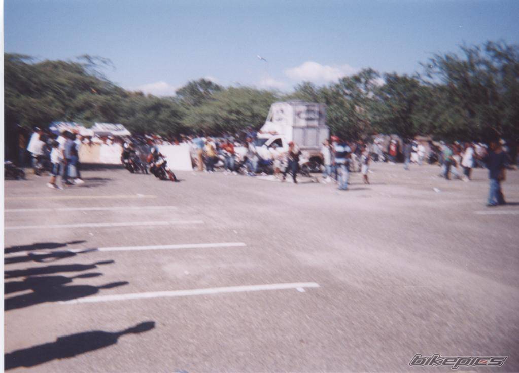 Photo 215397