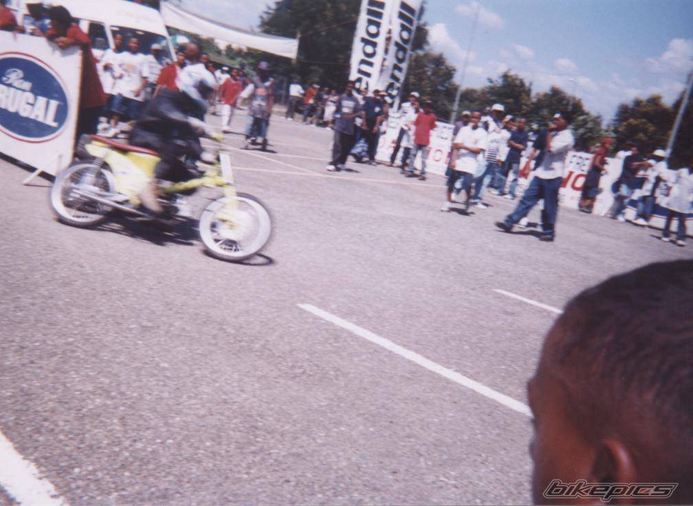 Photo 215405