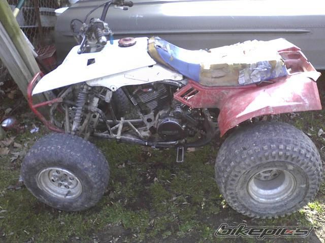 Photo 2154078