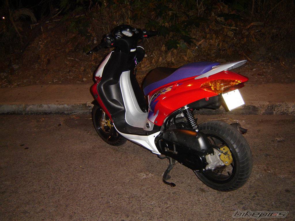 Photo 215428