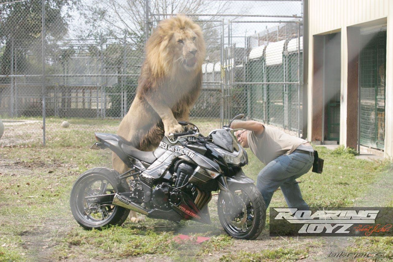 Bike Photo 2154319
