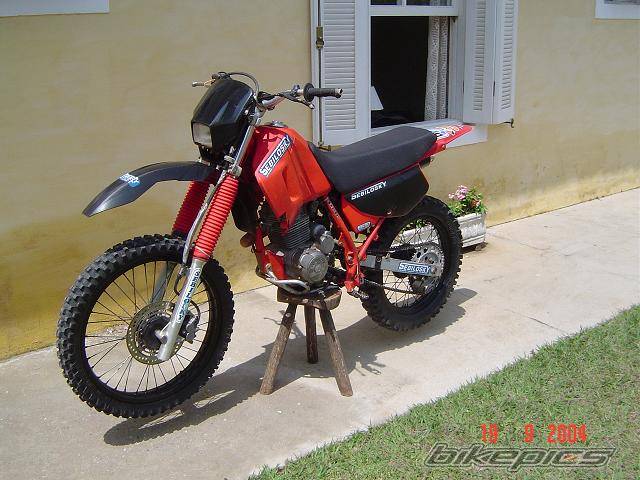 Bike Photo 215445
