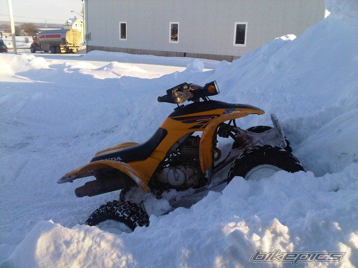Photo 2154588
