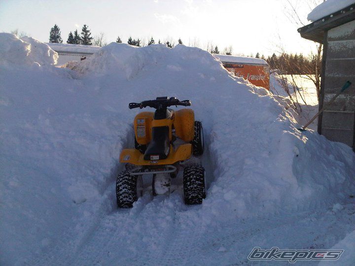 Photo 2154590