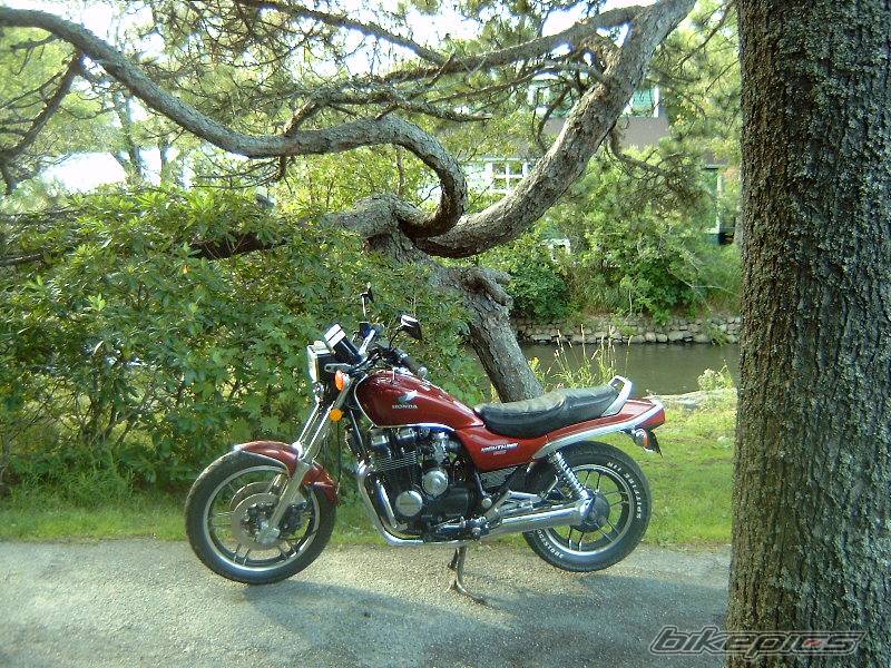 Photo 215460