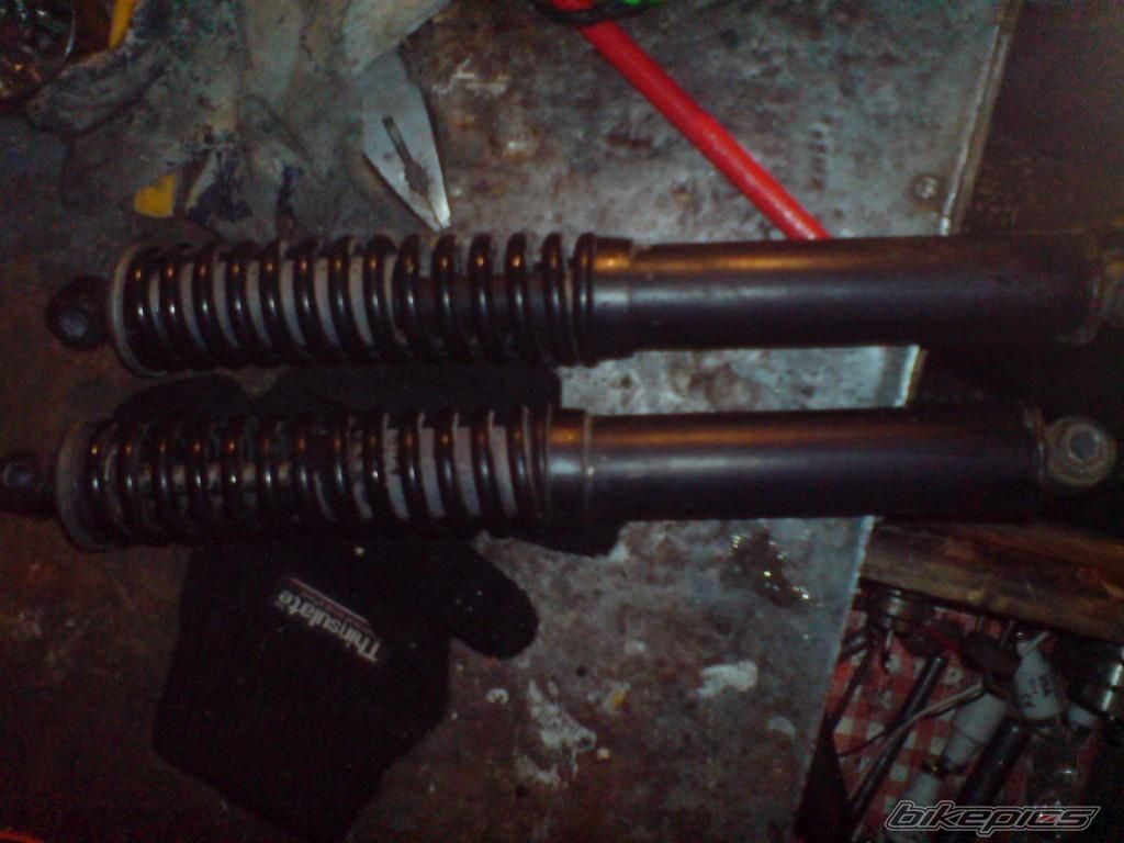 Photo 2154918