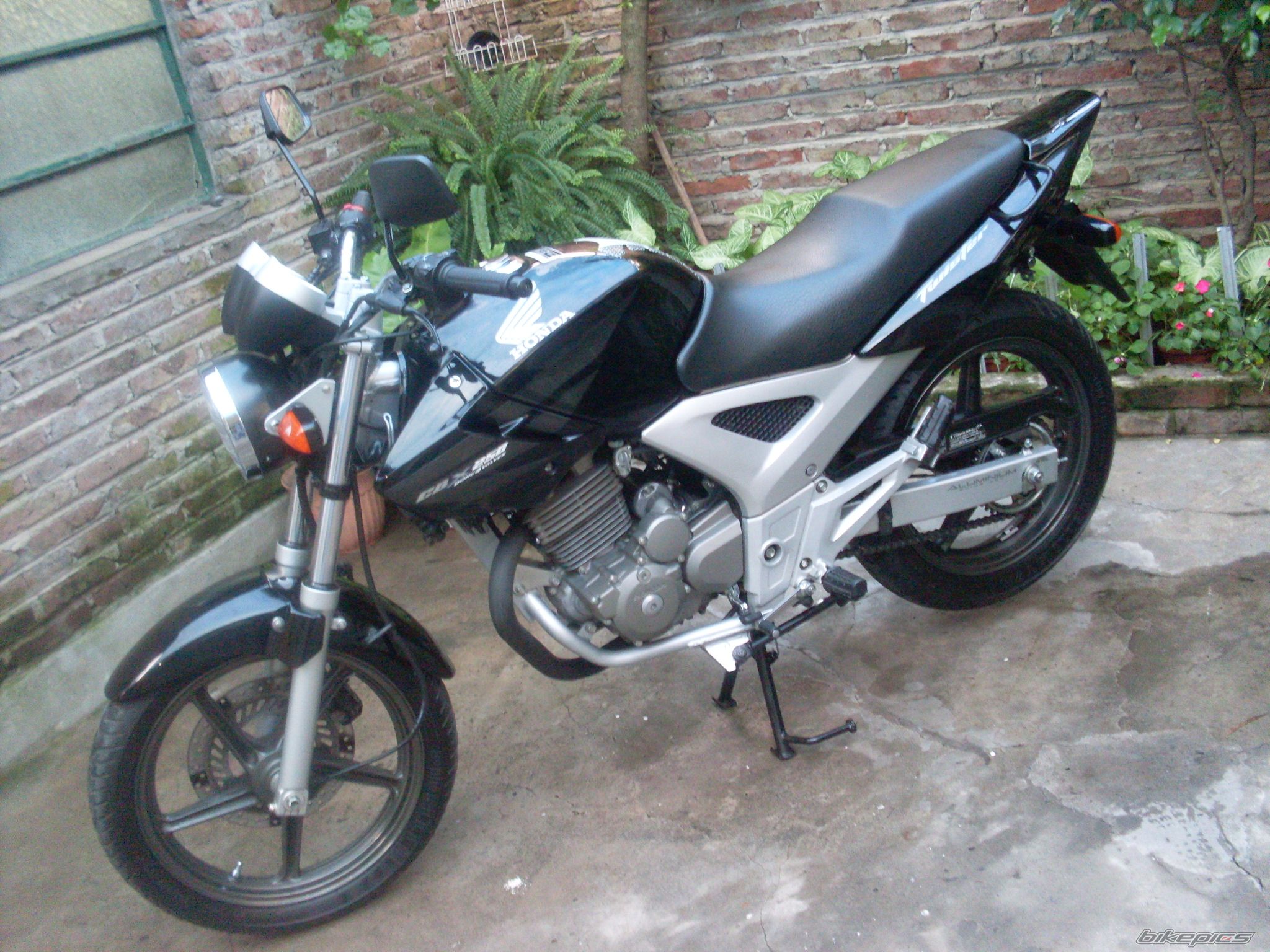 Photo 2155079