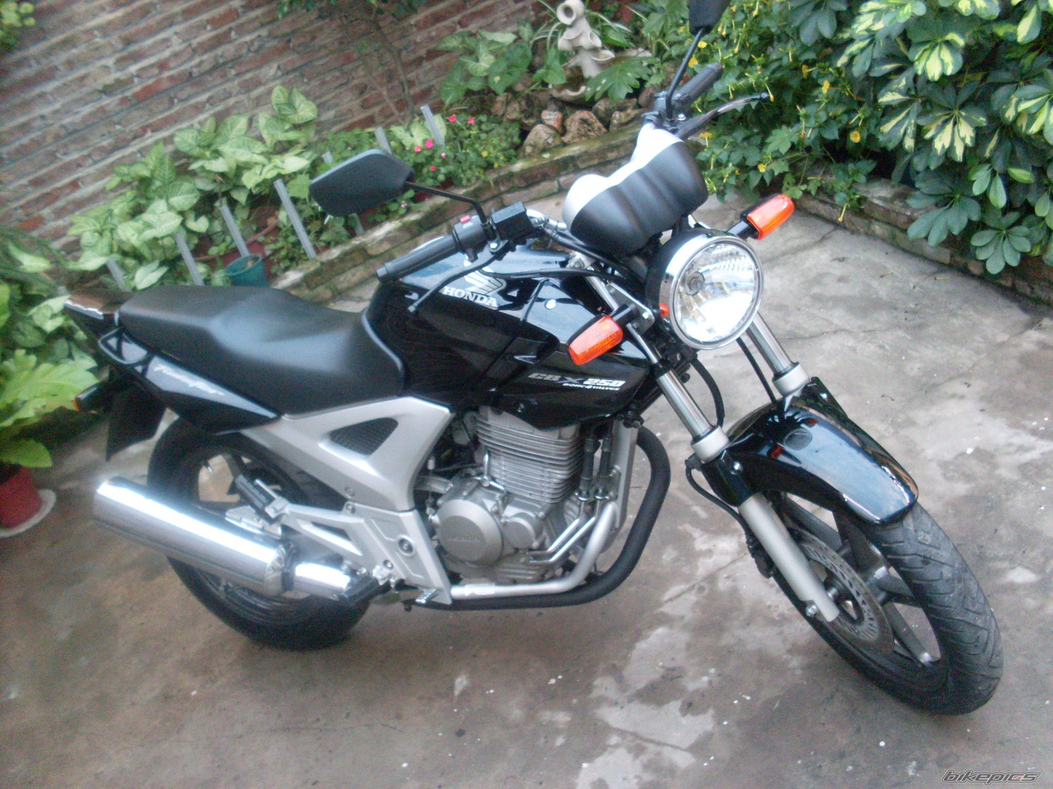 Photo 2155090