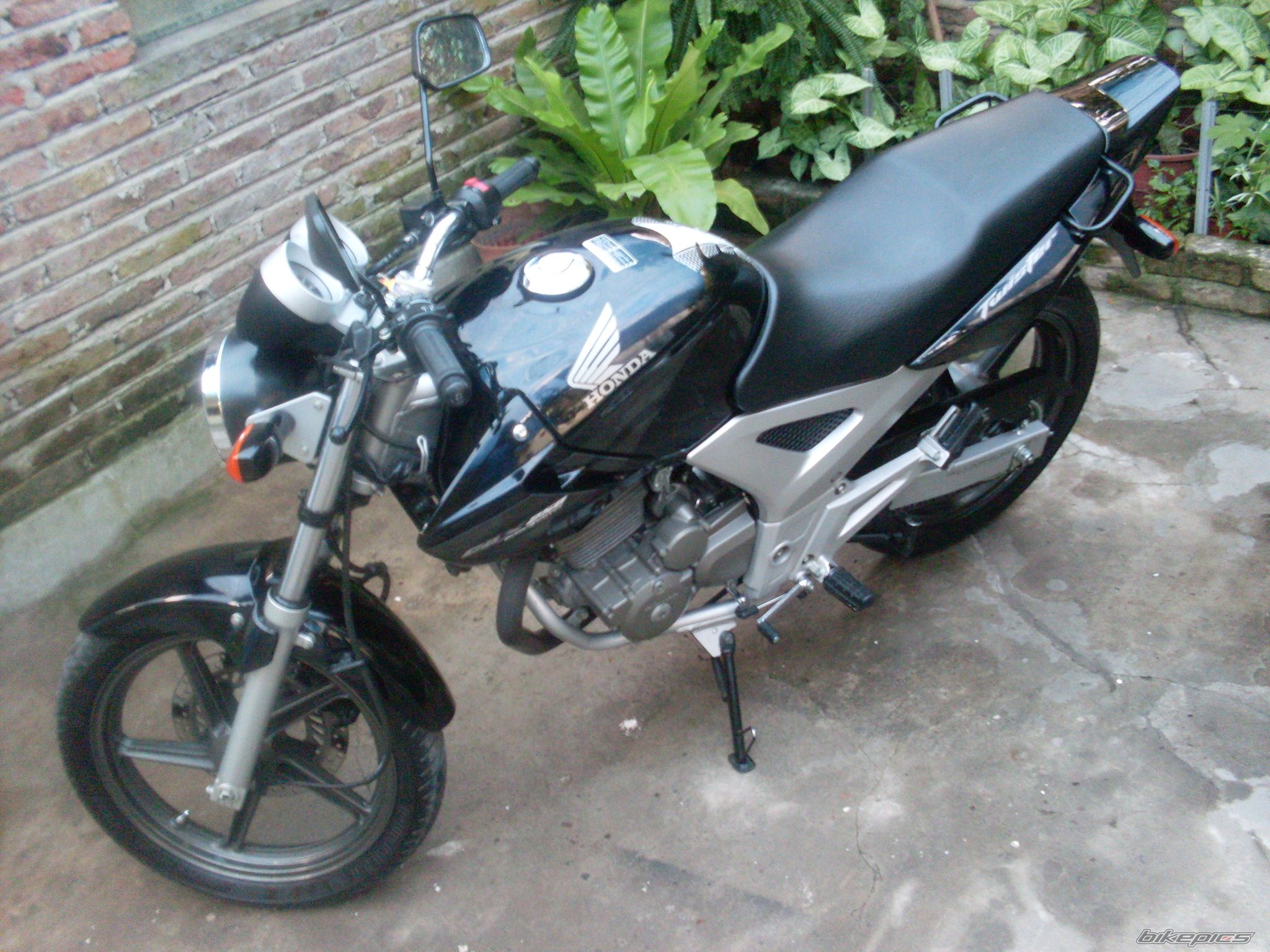 Photo 2155091