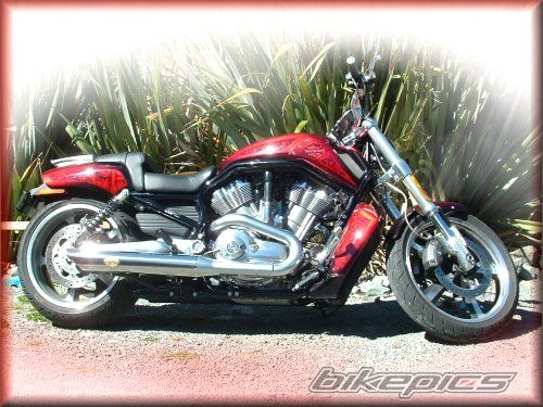 Bike Photo 2155265