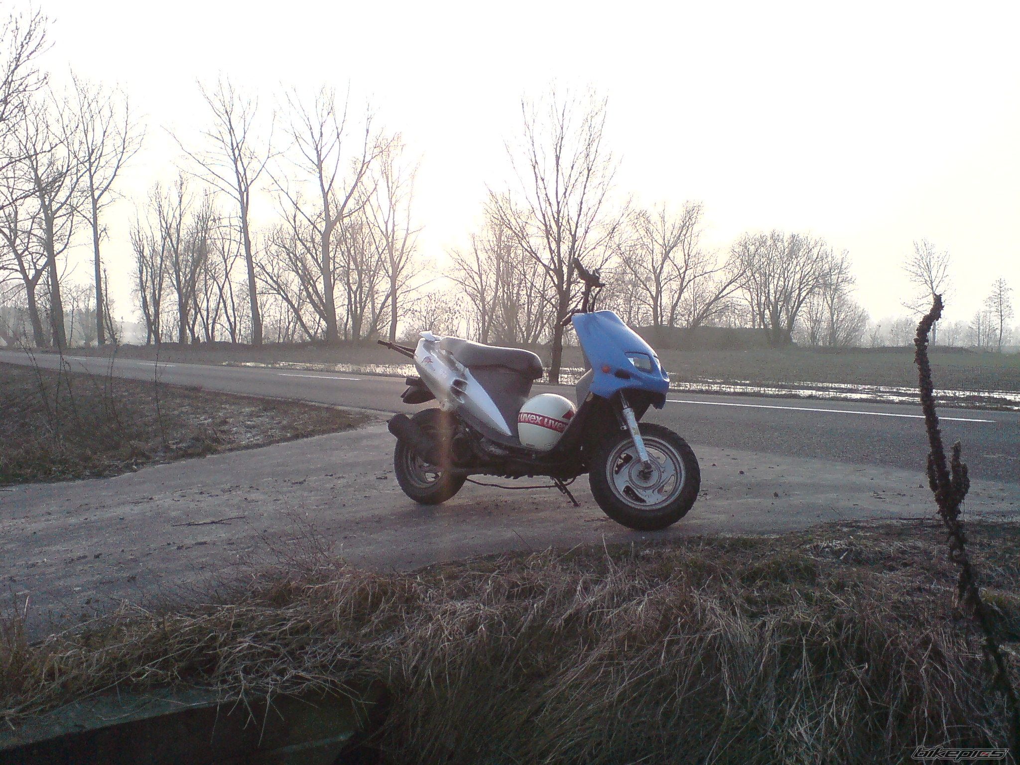 Photo 2155418