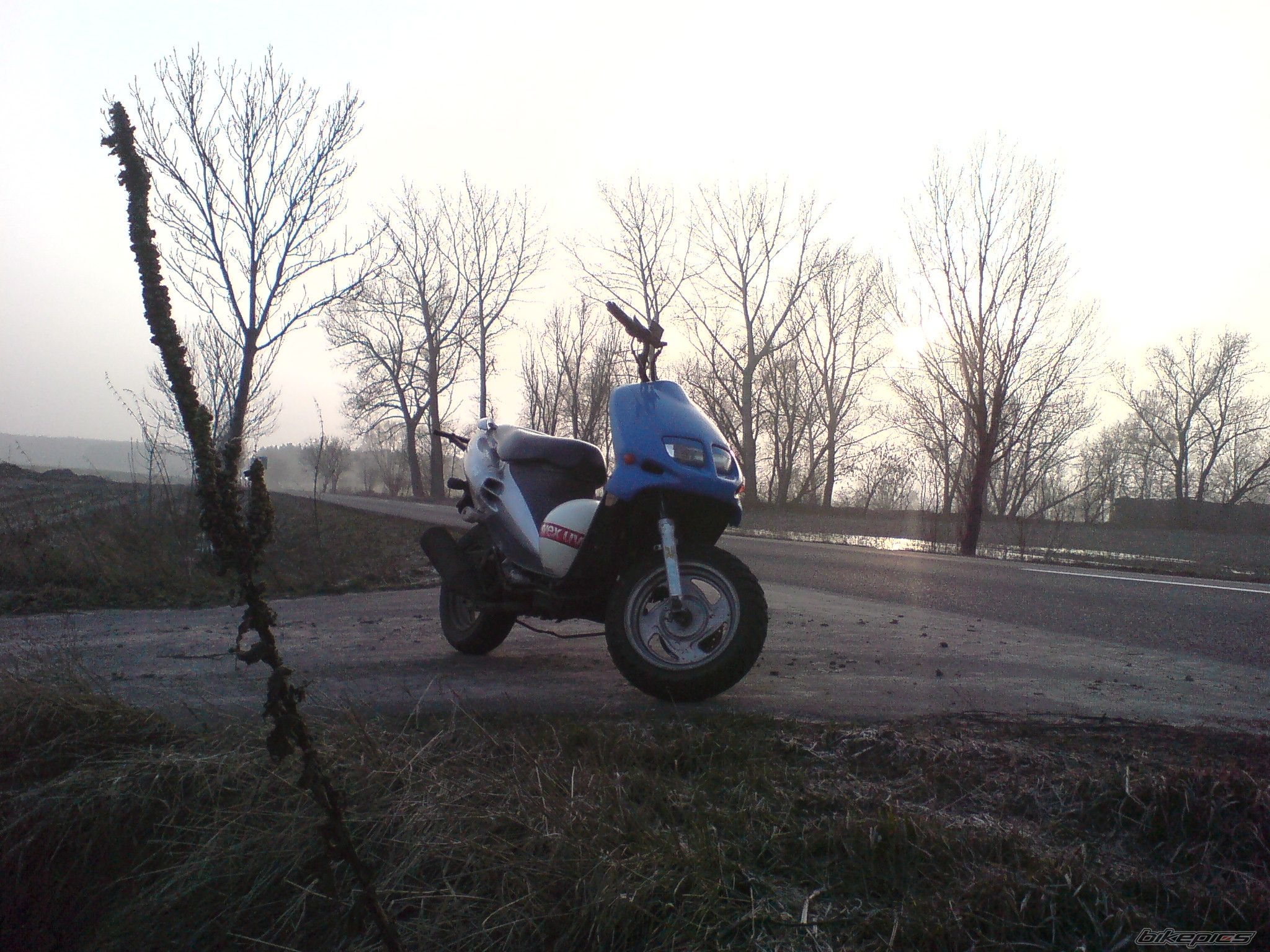 Bike Photo 2155419