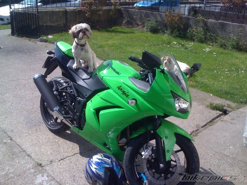 Bike Photo 2155709