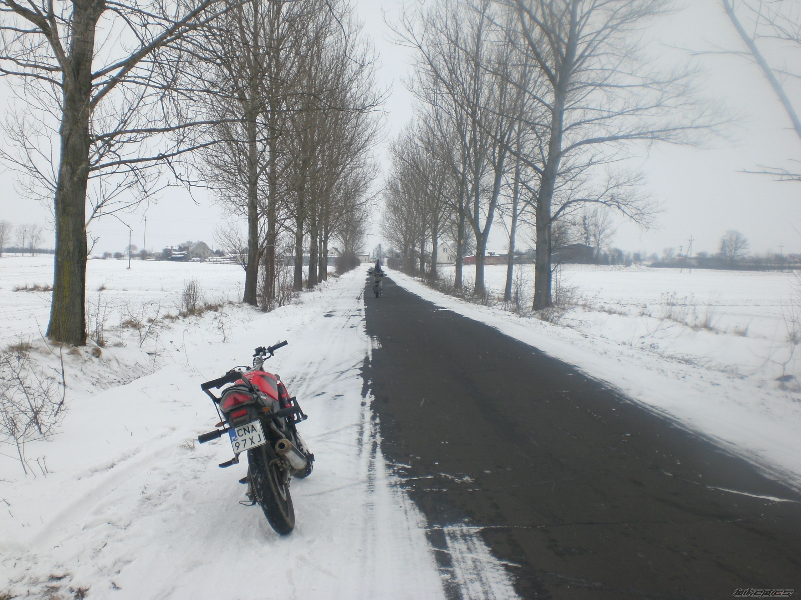 Photo 2155733