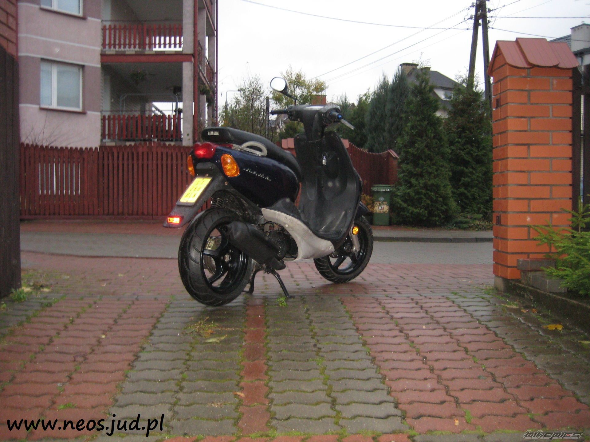 Photo 2155855