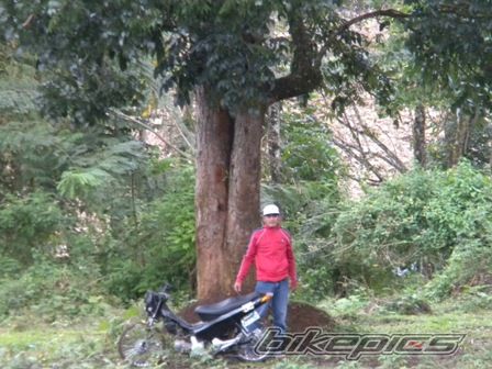 Bike Photo 2155931