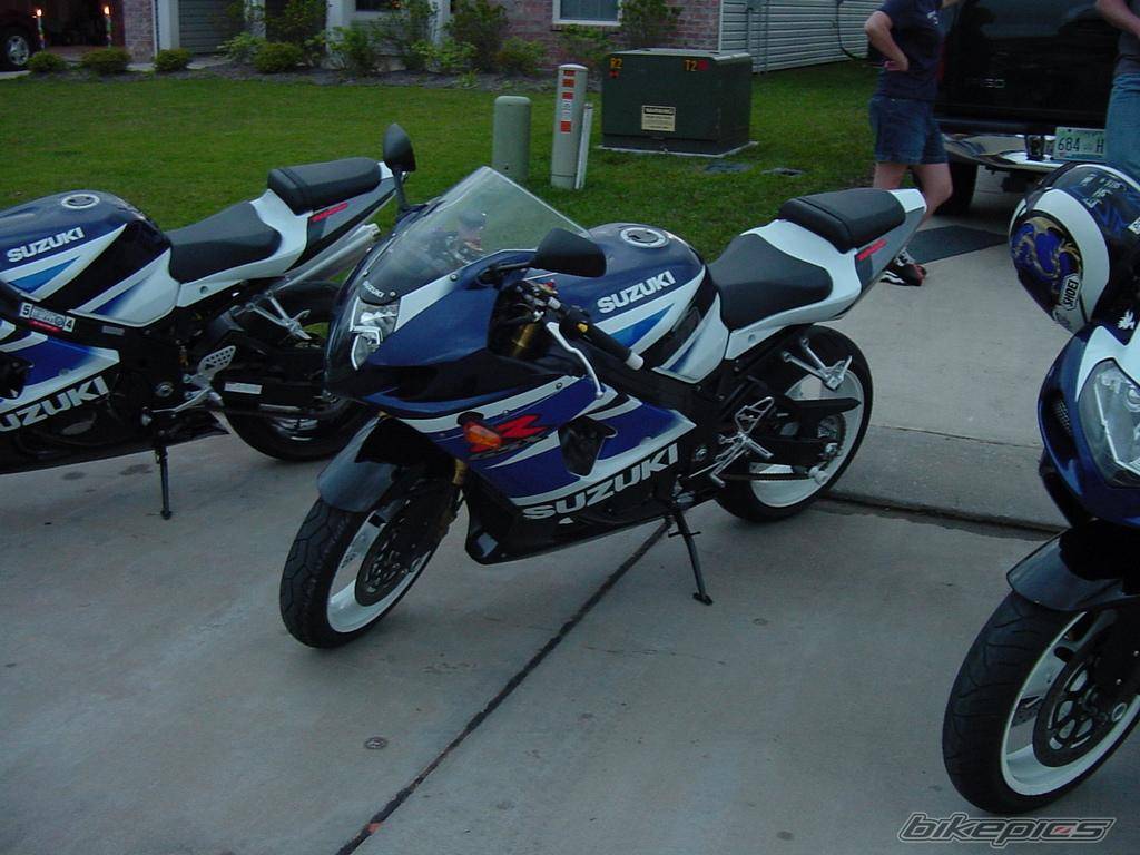 Photo 215605