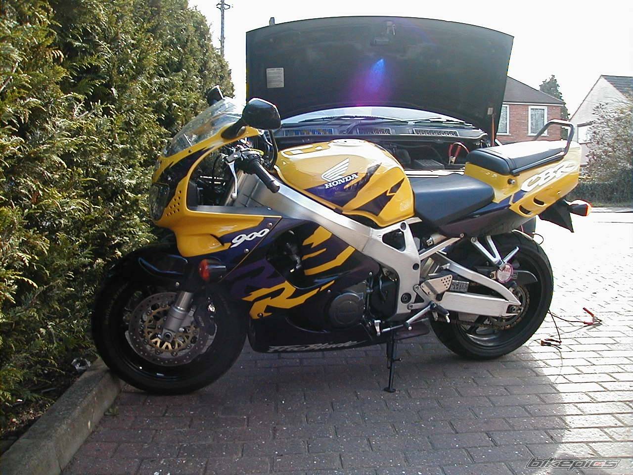 Photo 21561