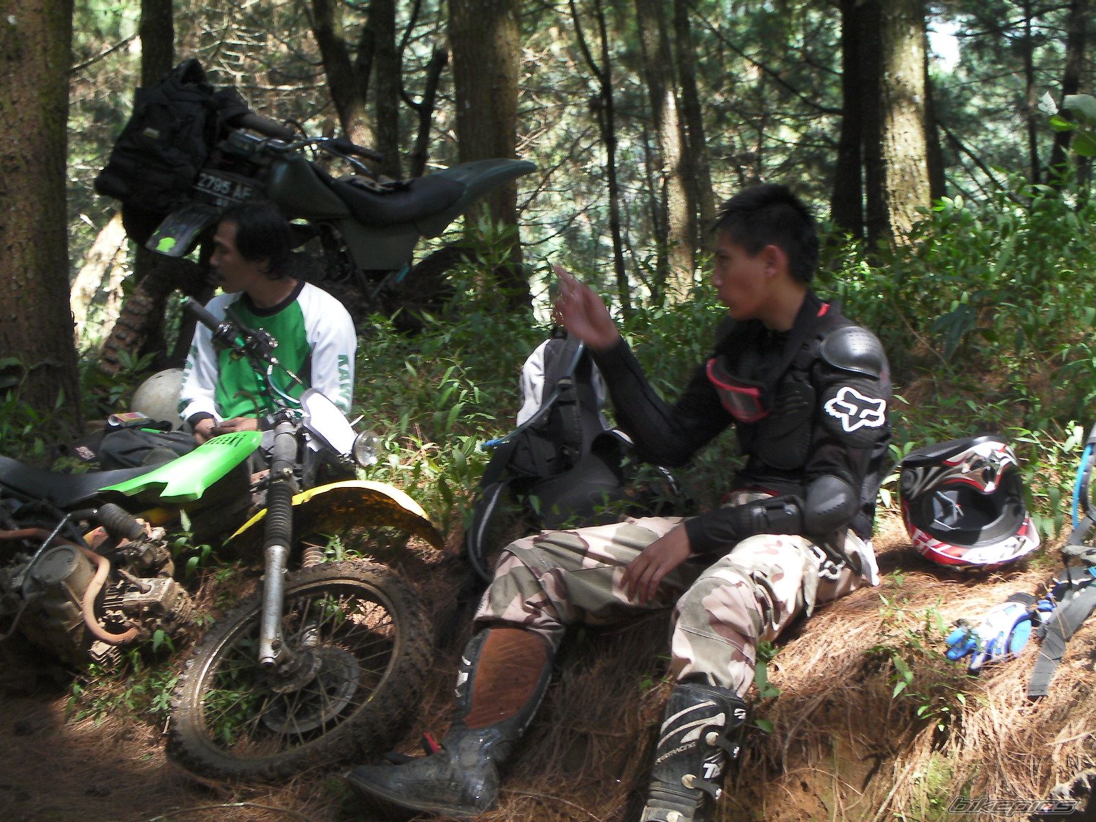 Tlr250r