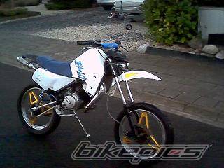 Photo 215659