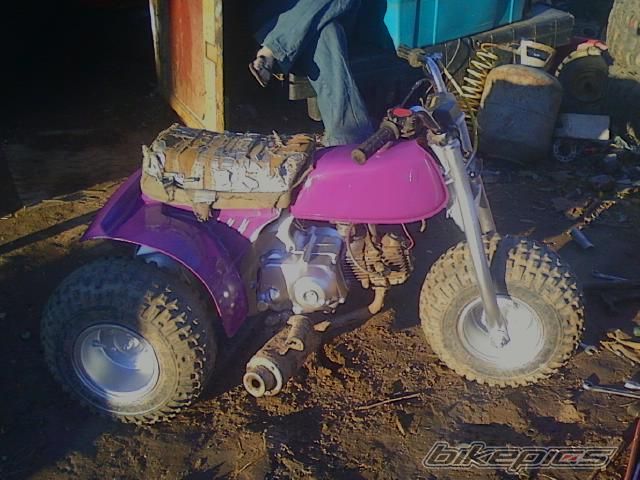 Photo 2156676