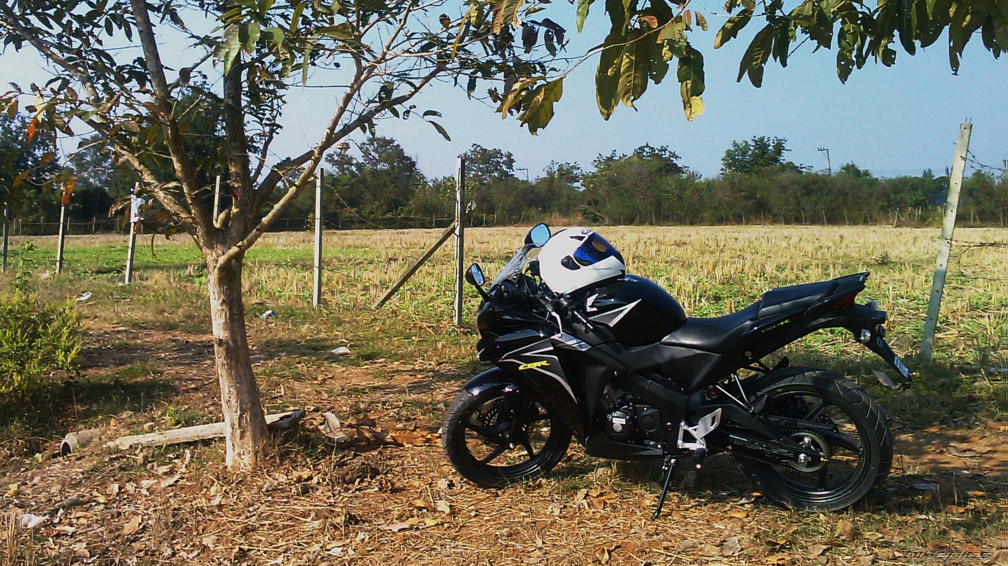 Photo 2156971