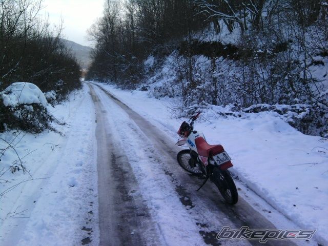 Photo 2157039