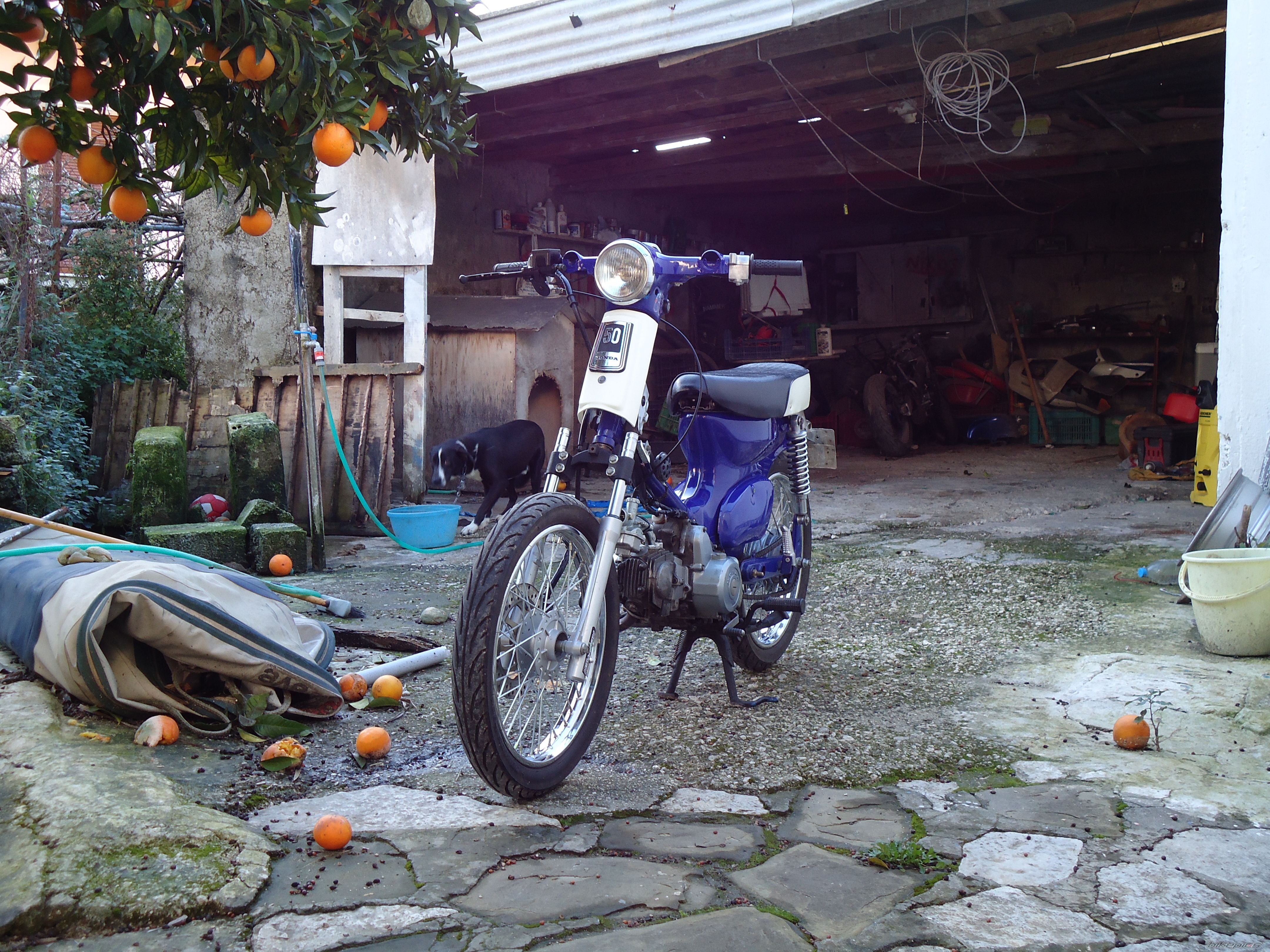 Photo 2157213