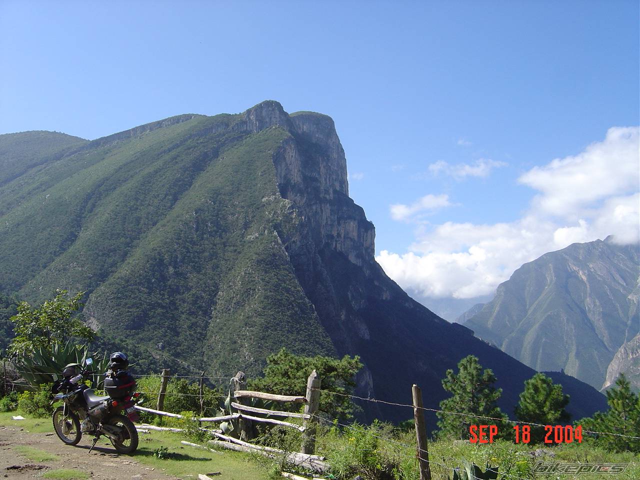 Photo 215735