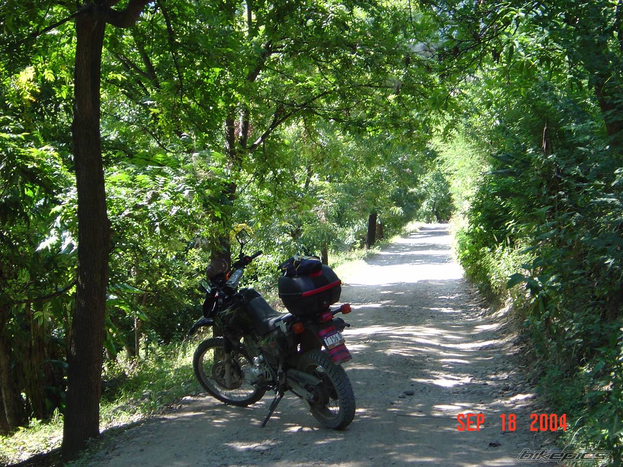 Photo 215736