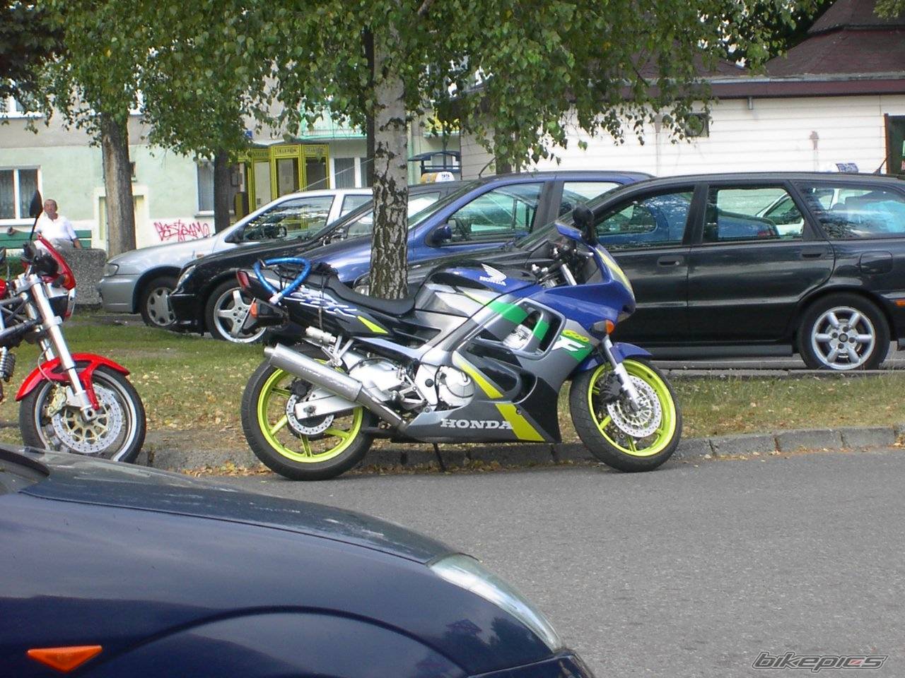 Photo 215748