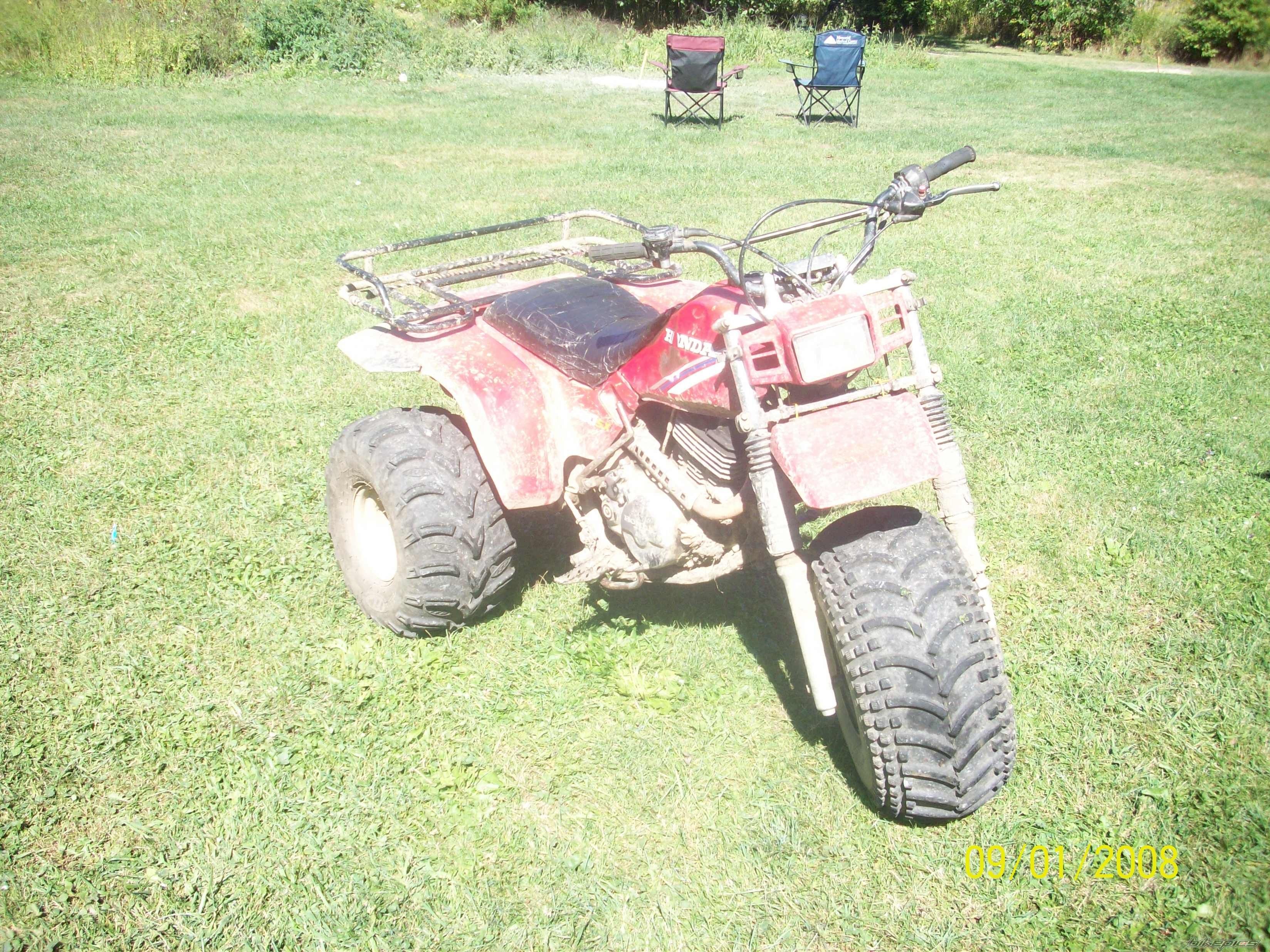Photo 2157862