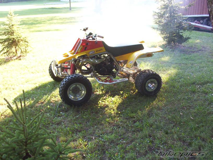 Photo 215794