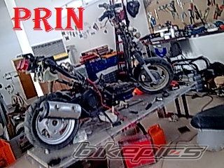 Photo 2157968