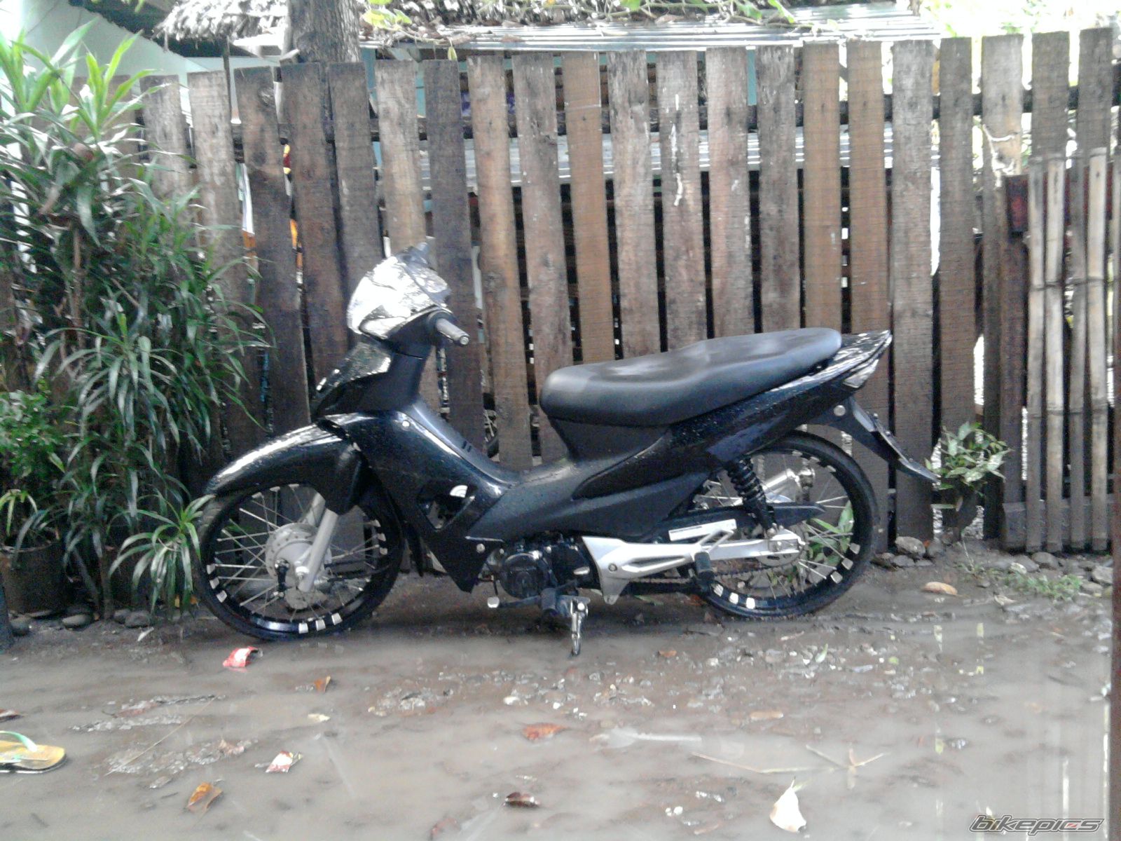 Photo 2157981