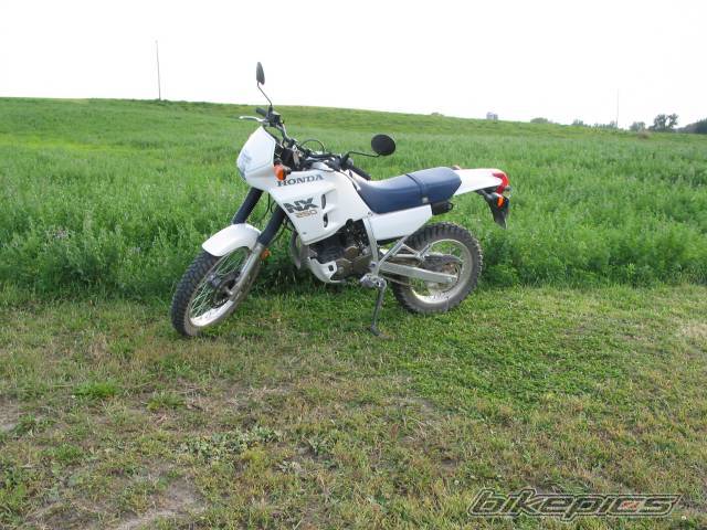 Photo 215877