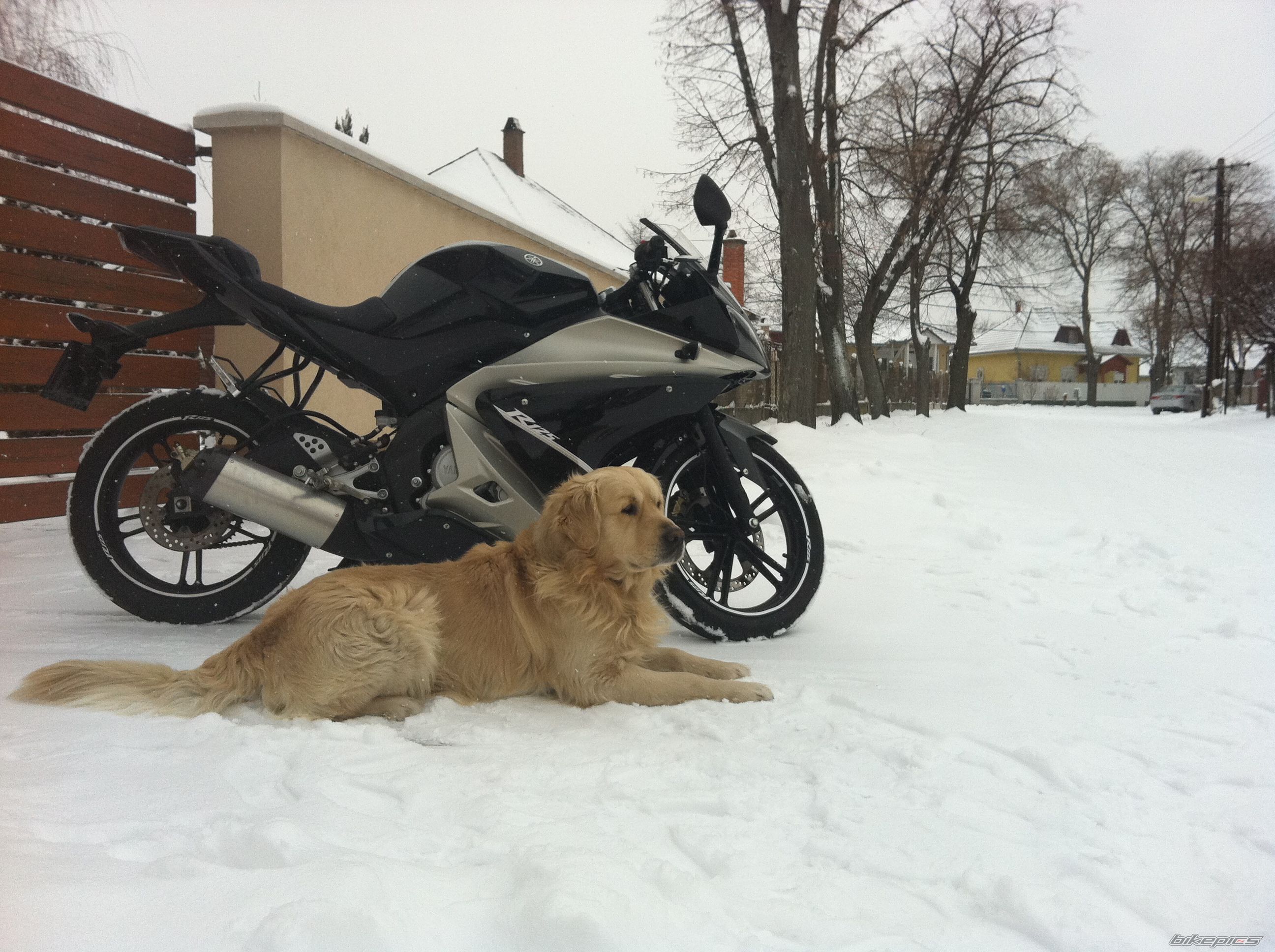 Bike Photo 2158804